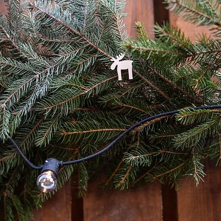 Pretty Jolie Romantic Getaway *