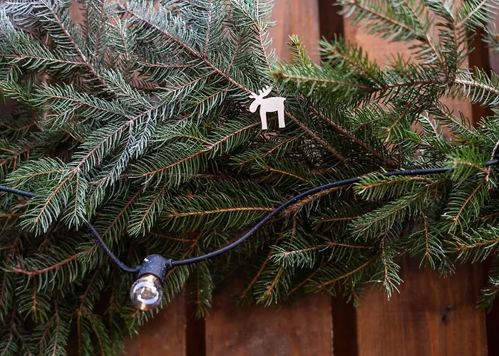 Pretty Jolie Romantic Getaway *